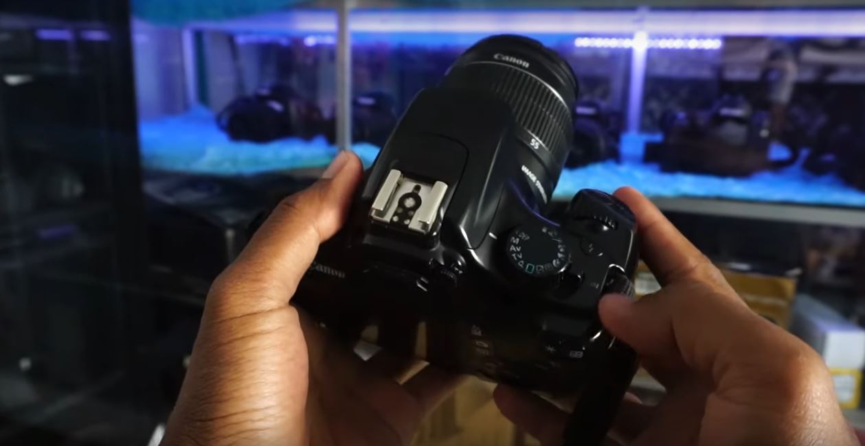 Canon EOS 1100D, Tak Kalah dengan Kamera Canon Terbaru